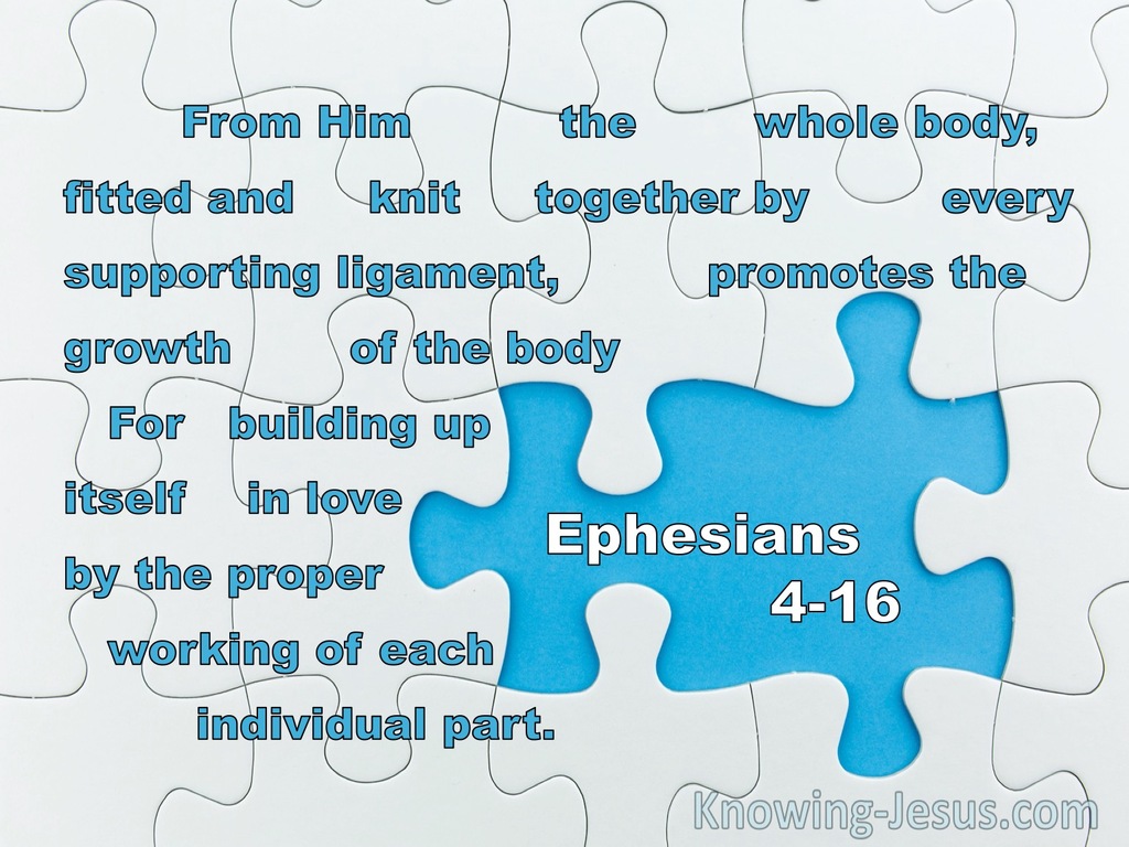 Ephesians 4:16 From Him the whole body, fitted and knit together (blue)
